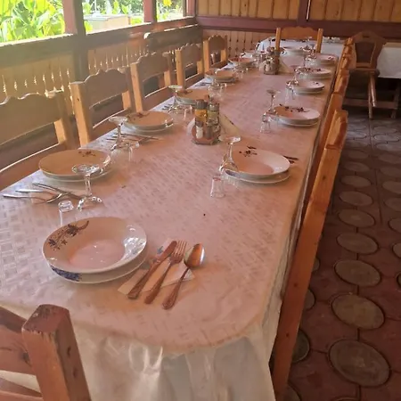 Gasthof Casa Delia Sulina