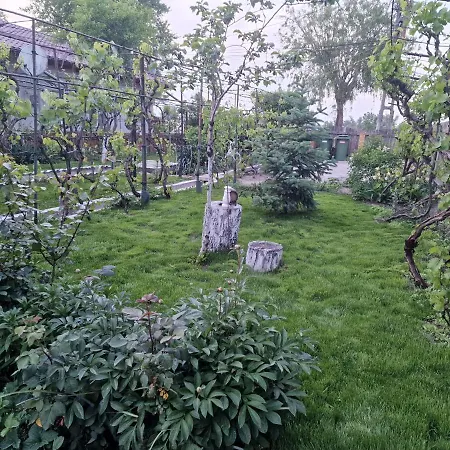 招待所 Casa Delia