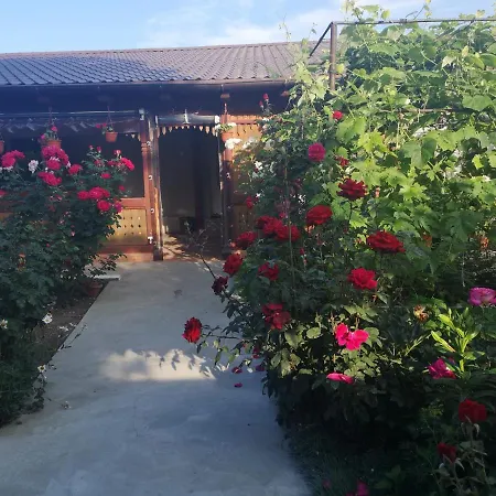 Casa Delia Sulina