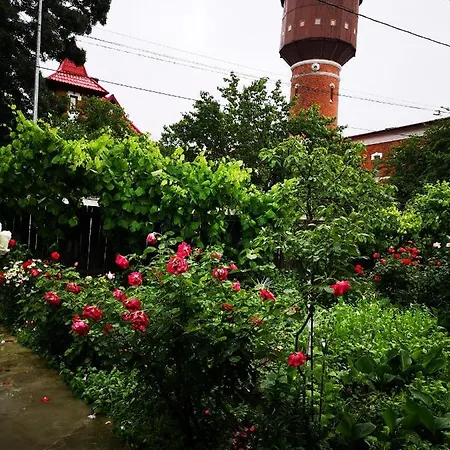 Pensiune Casa Delia Sulina