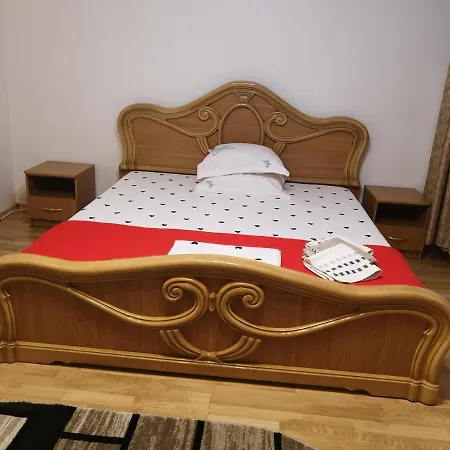 Casa Delia Pensiune Sulina