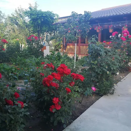 Casa Delia Sulina