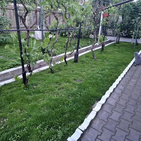 Pensiune Casa Delia *