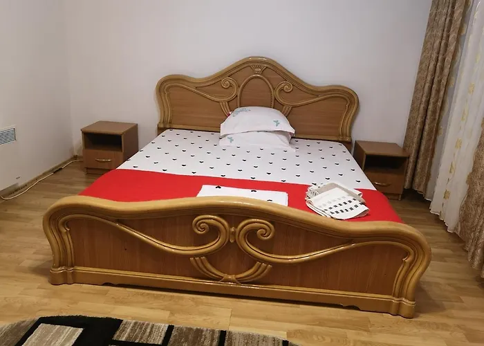 Casa Delia Pensionat Sulina