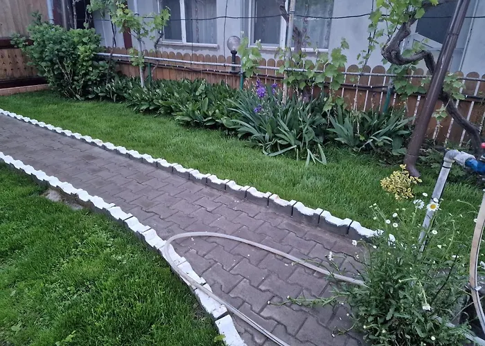 Pensionat Casa Delia Sulina