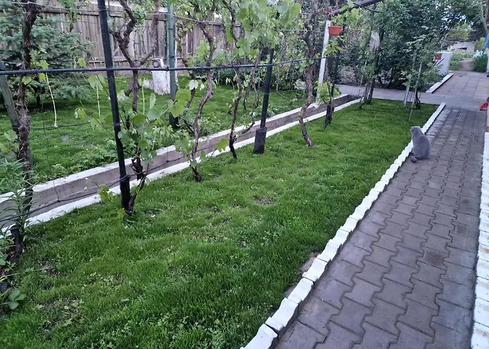 Pensionat Casa Delia 3*